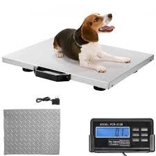 Acero inoxidable de escala de piso con pesaje de animales indicador